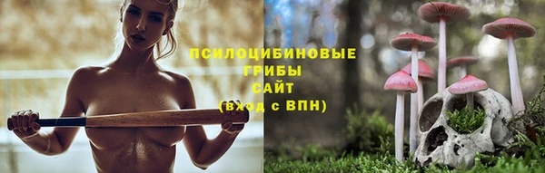 Альфа ПВП Абаза