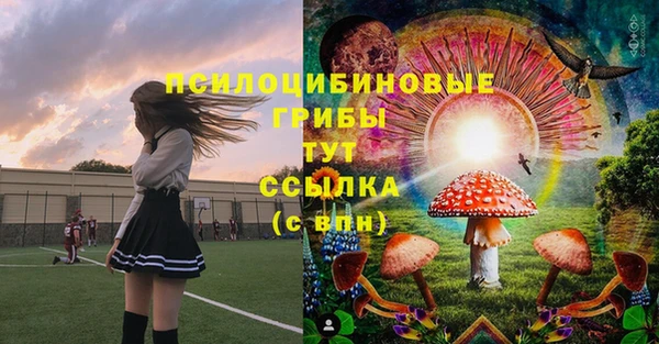 мет Переславль-Залесский