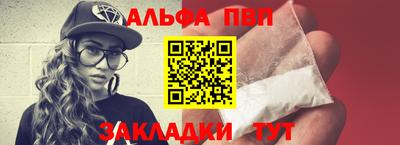 шишки Гай