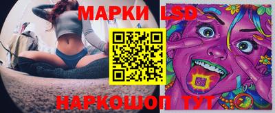 шишки Гай