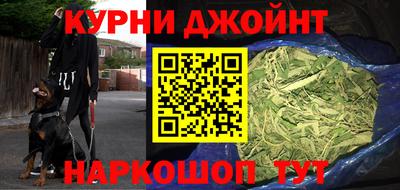 шишки Гай
