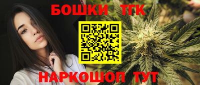 шишки Гай