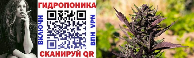 МАРИХУАНА OG Kush  Калининград 