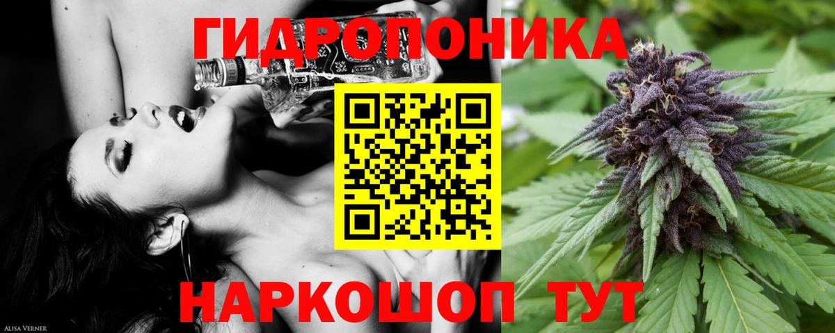 Бошки марихуана Ganja  Конопля семена  Бошки Шишки конопля  Калининград  Вход с VPN  Бошки марихуана индика 